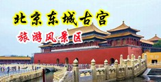 一级操逼视频中国北京-东城古宫旅游风景区
